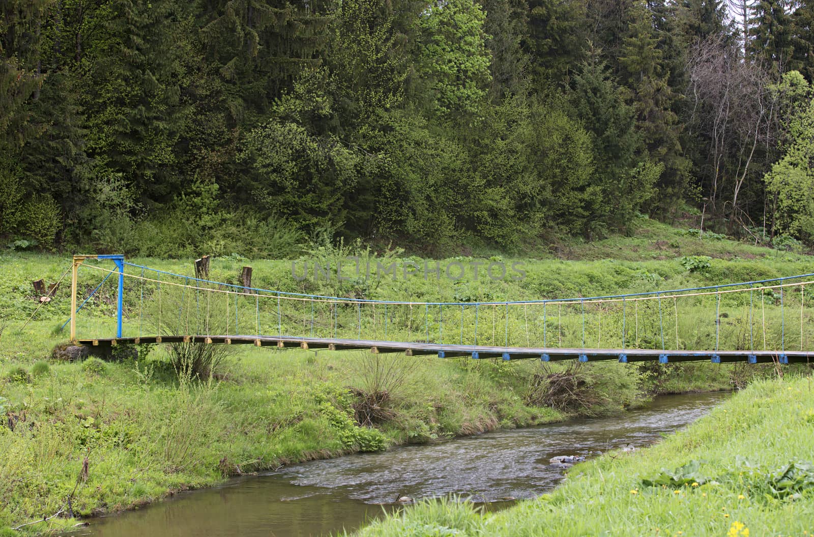 Suspension bridge over the mountain river among the bright green forest, Carpathians Ukraine