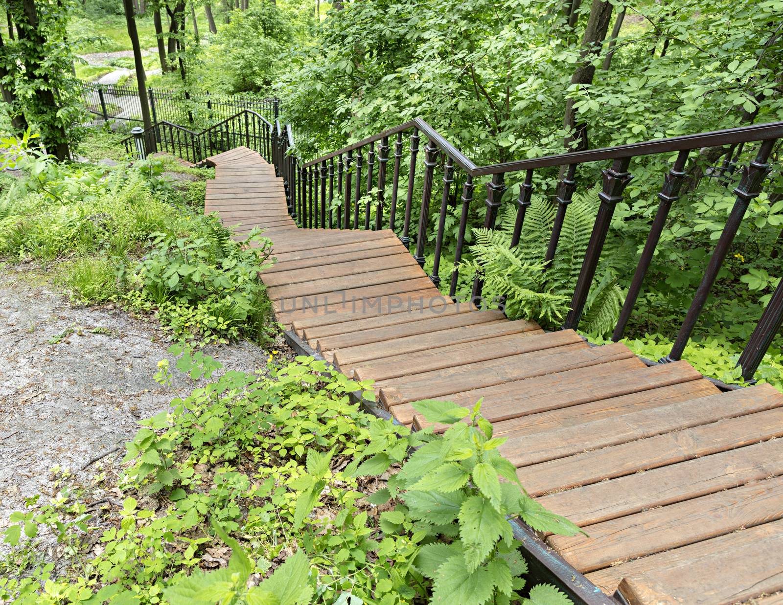 A wooden staircase with figured metal railing descends down the grove, a lighted park path goes down the hillside bending around a large stone boulder