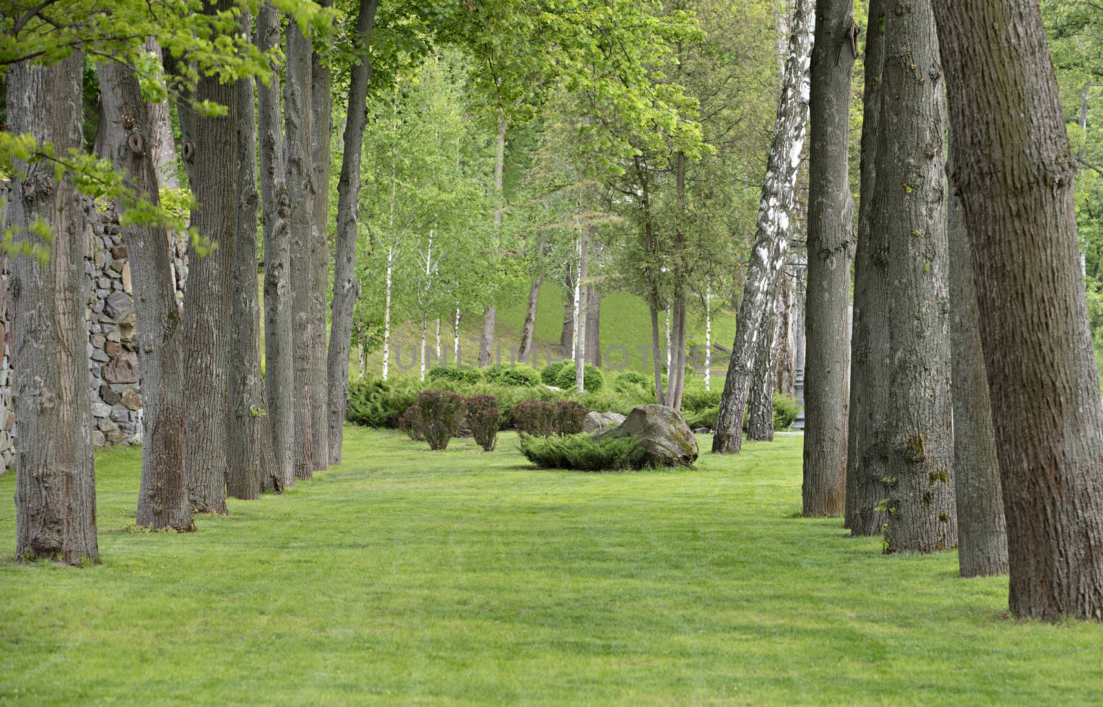 High quality natural gazebo - oak alley in the park with a beautiful well-groomed lawn and landscape installation of boulder stones in the center