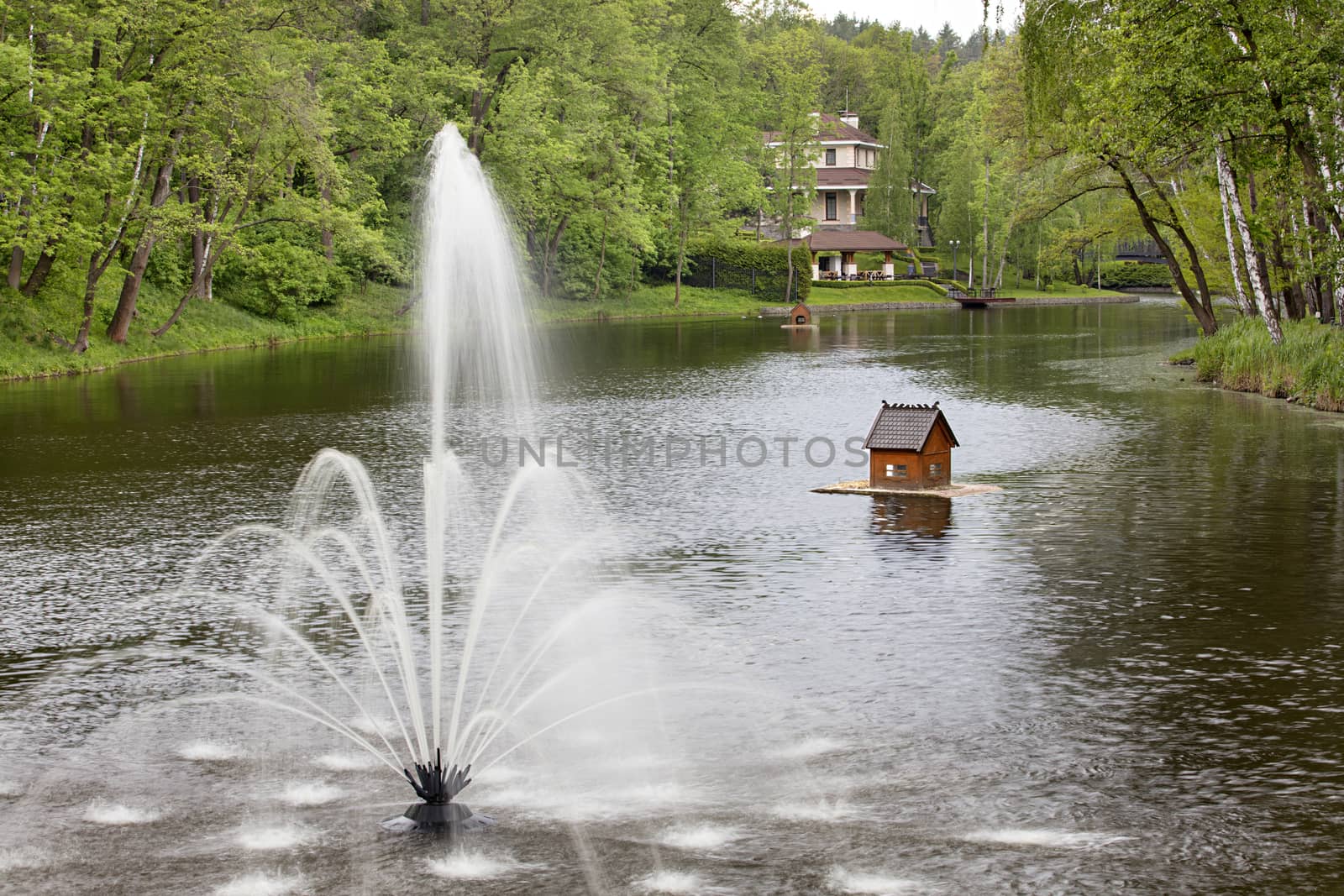 A picturesque spring park with a fountain in the middle of a large and wide pond and two floating houses for ducks on it against the backdrop of a cozy cafe