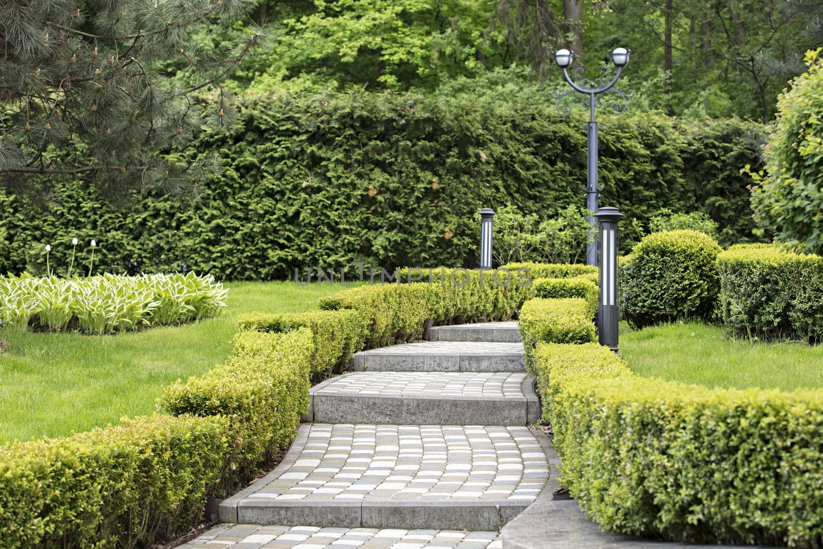 A paved stepped path in a beautiful park passes through a green lawn with decorative flowers, framed on both sides by sheared bushes and lanterns for lighting