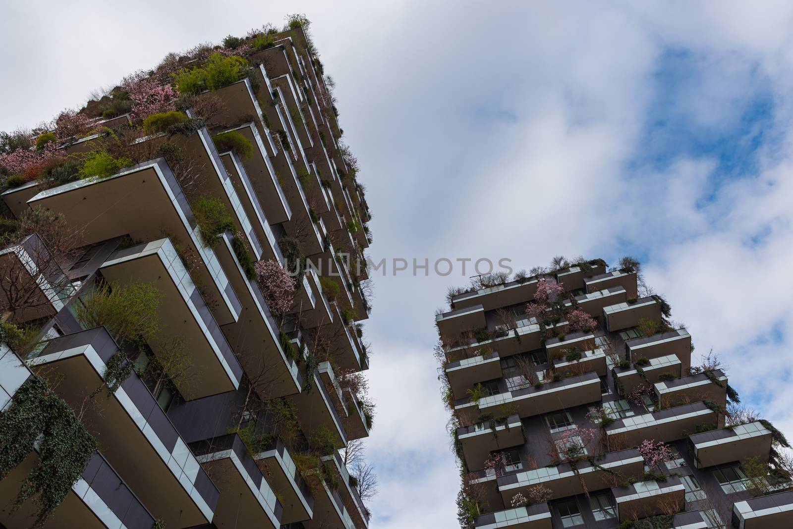 Cityscape with skyscrapers with gardens on the terraces, Vertical Garden in the city