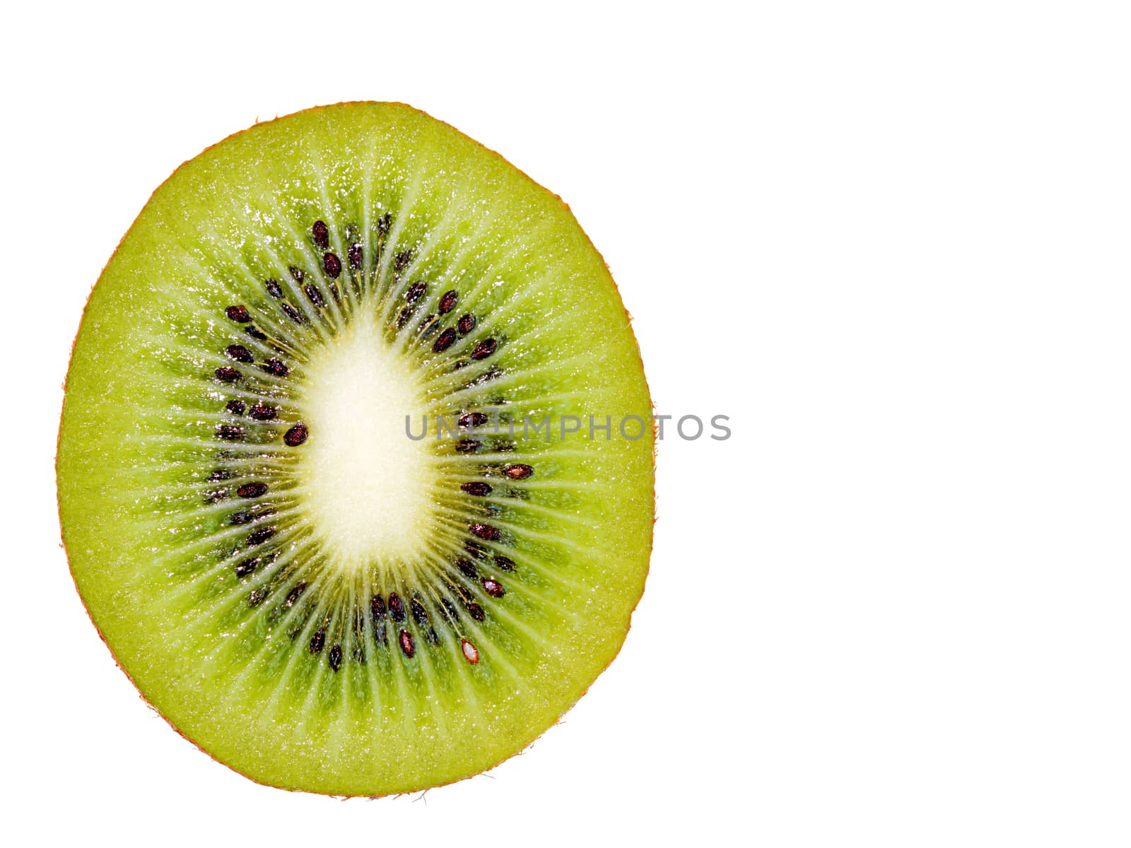 Ripe juicy kiwi fruit in a close-up cut on a white isolated background