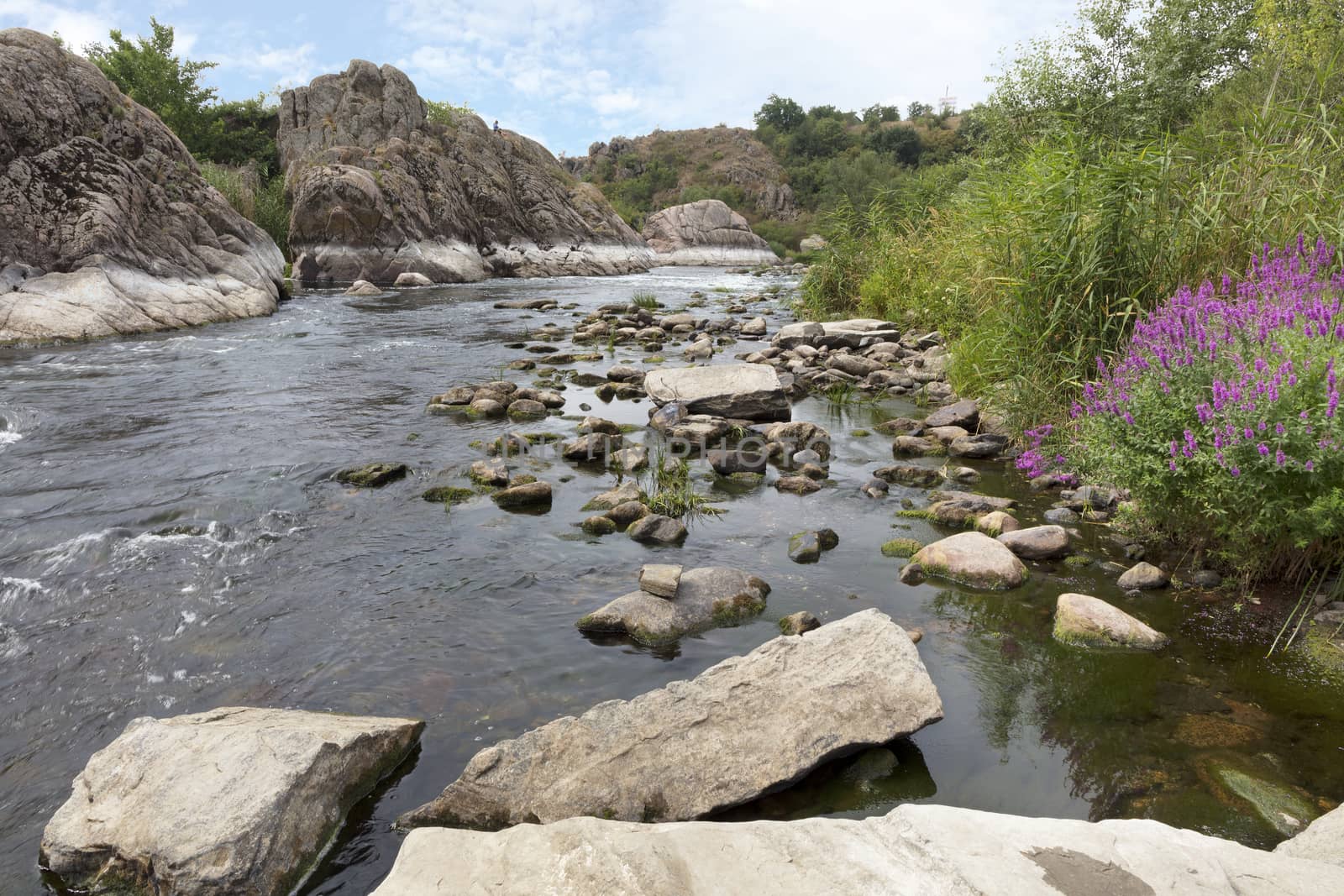 Granite and basalt rock formations and bright green vegetation with flowering shrubs on the banks of the fast river