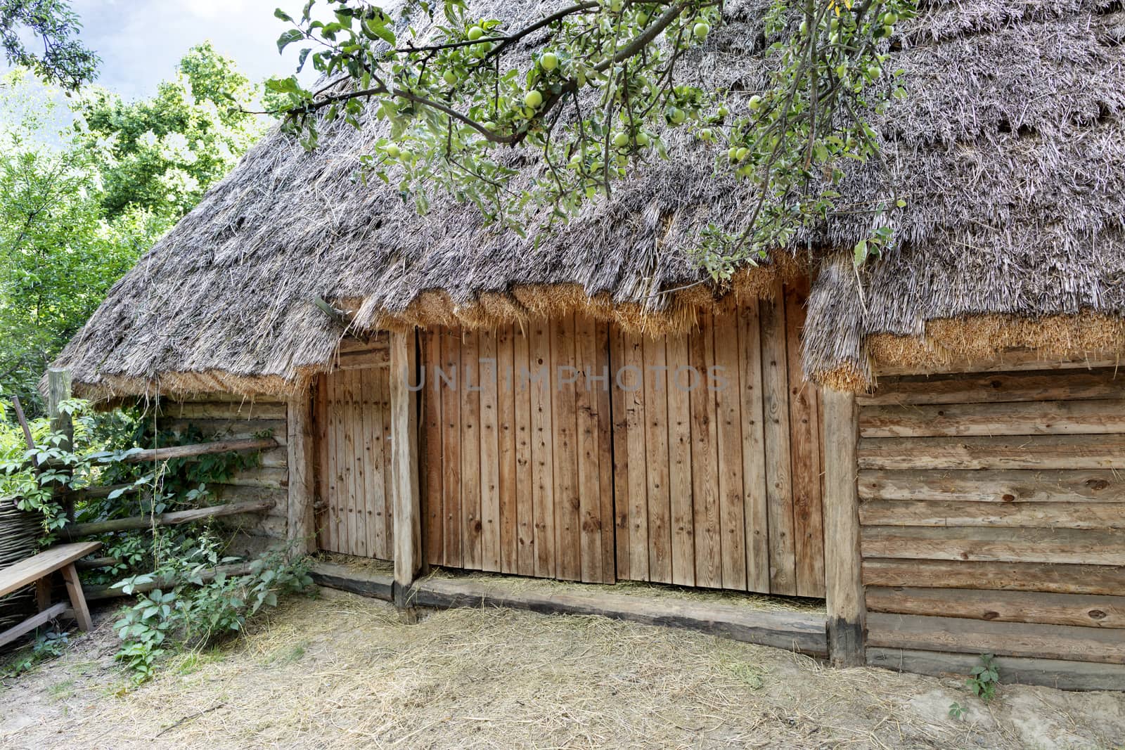 Old traditional Ukrainian rural barn with a thatched roof for dry grass and a wooden, wicker fence around it in a green garden