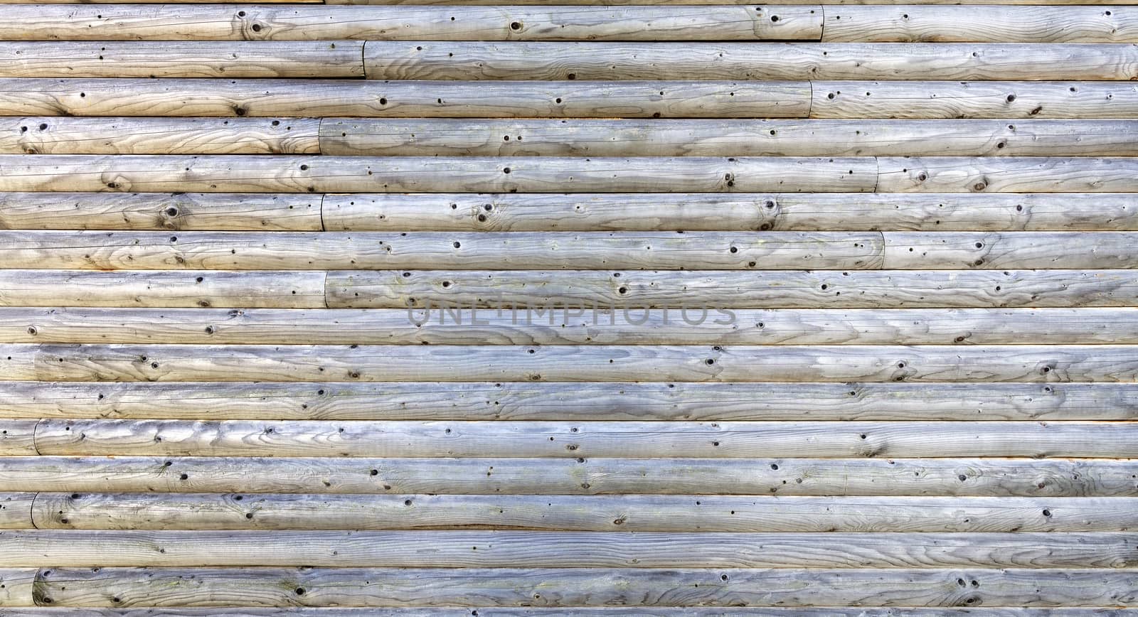 The gray logs of the wooden wall are folded horizontally. Texture of an old tree close-up.