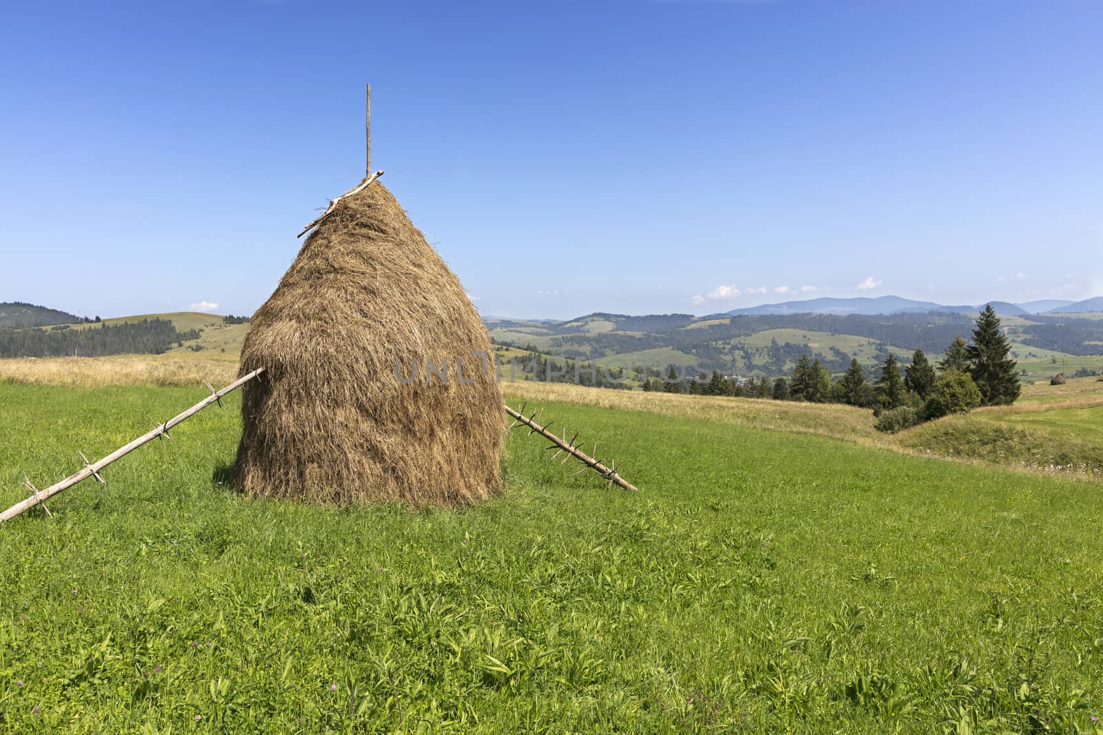 Stack of hay on a mountain meadow on a hillside. beautiful landscape of mountainous countryside on a bright sunny day. Carpathians Ukraine