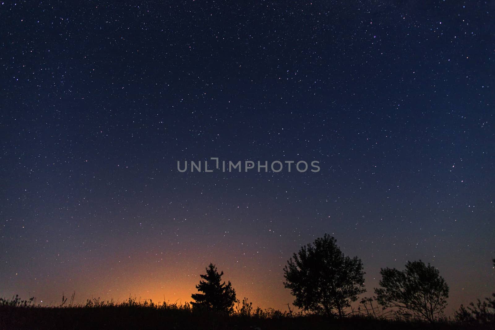 A night starry sky through lonely trees and grass. The last light of the sun's rays at the bottom of the image.