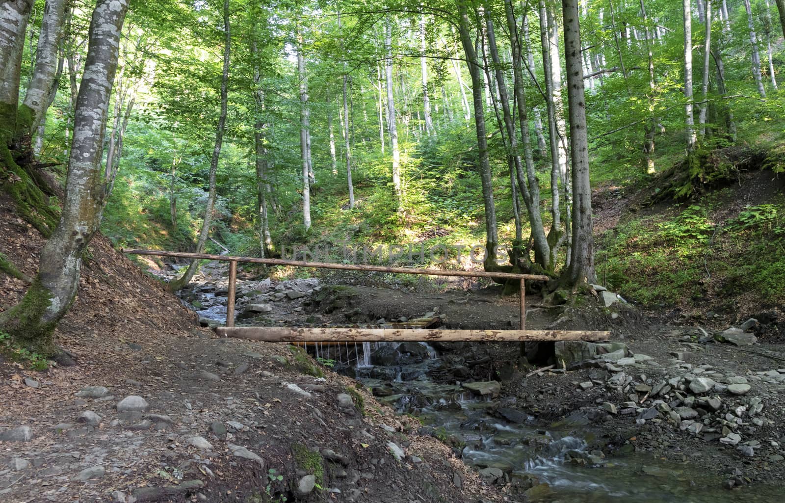 A small wooden bridge leading through a mountain stream in a picturesque wild forest between hilly slopes