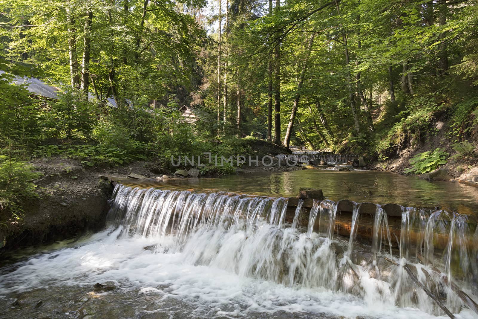 Daylight in the forest illuminates the clear waters of a mountain river. In the cascading waterfall of a mountain stream in the Carpathians, the blue sky reflects.