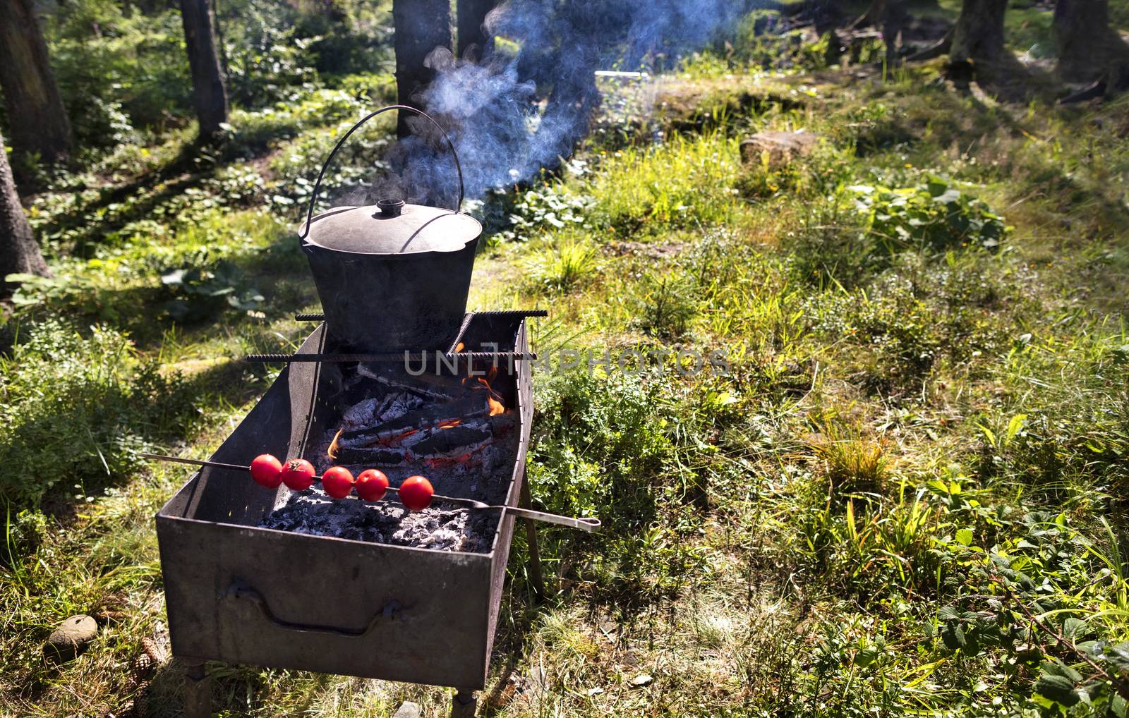 In the old cauldron on the barbecue cooking porridge against a forest clearing at noon. On the skewer are strung and baked red tomatoes.