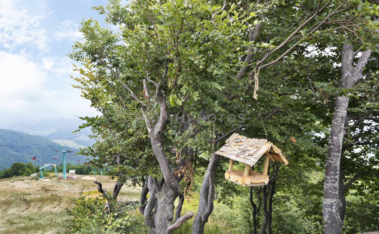 At the top of the mountain in the branches of a tree hangs a wooden bird feeder close-up against the backdrop of a mountain landscape