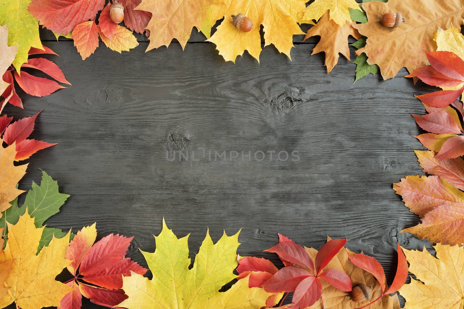 Bright autumn leaves frame the black old wooden surface with a copy of the space