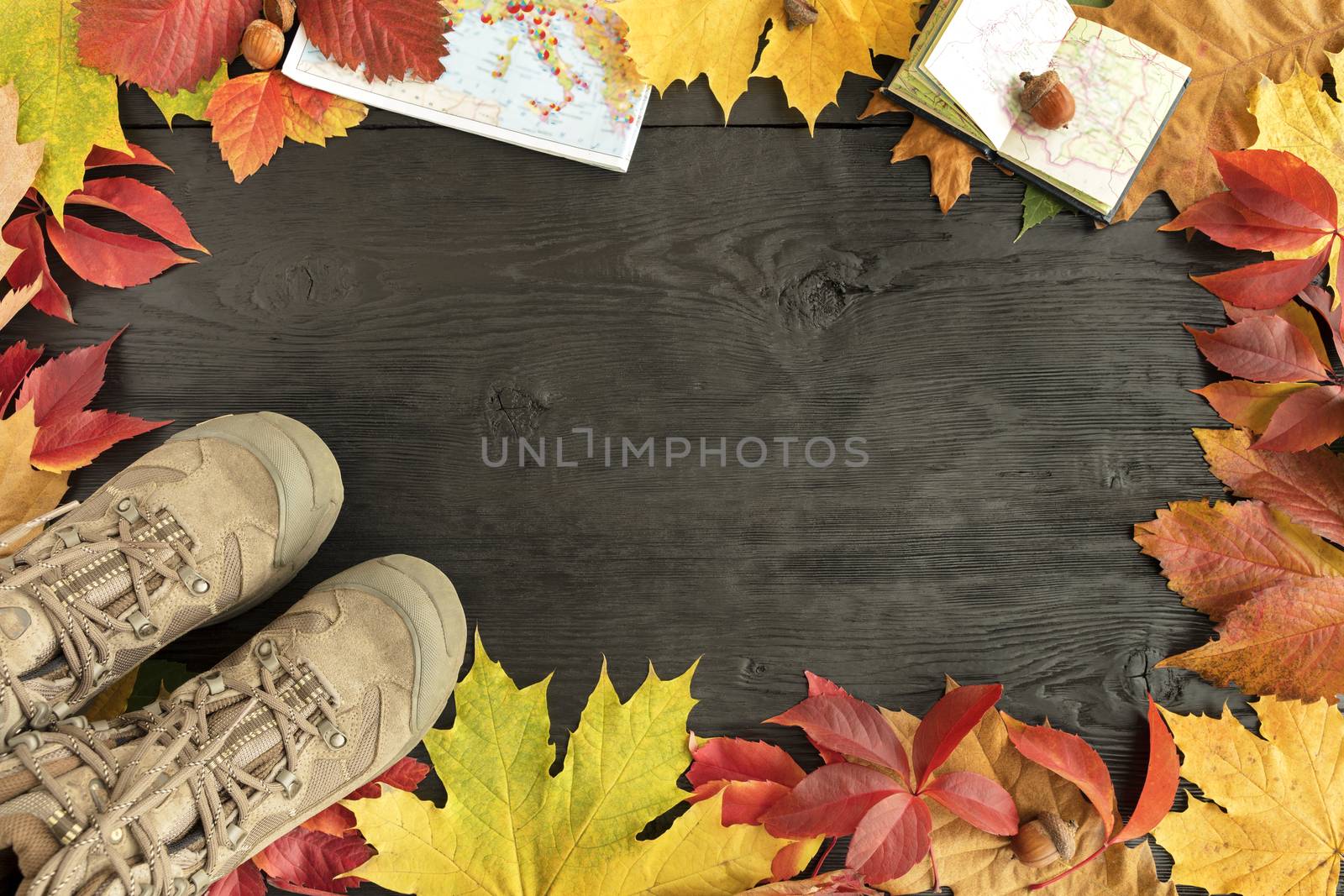 Bright autumn leaves, tracking boots and maps framed the black old wooden surface with a copy of space.