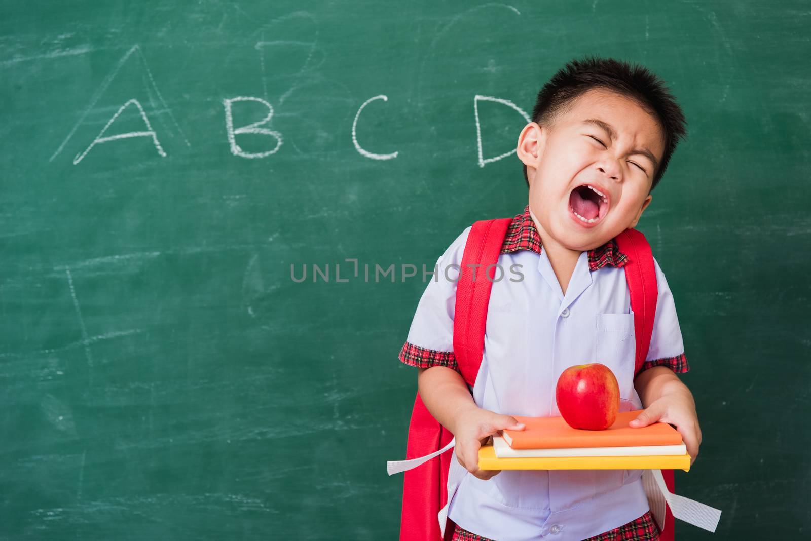 Back to School. Happy Asian funny cute little child boy from kindergarten in student uniform with school bag holding red apple on books smile on green school blackboard, First time to school education