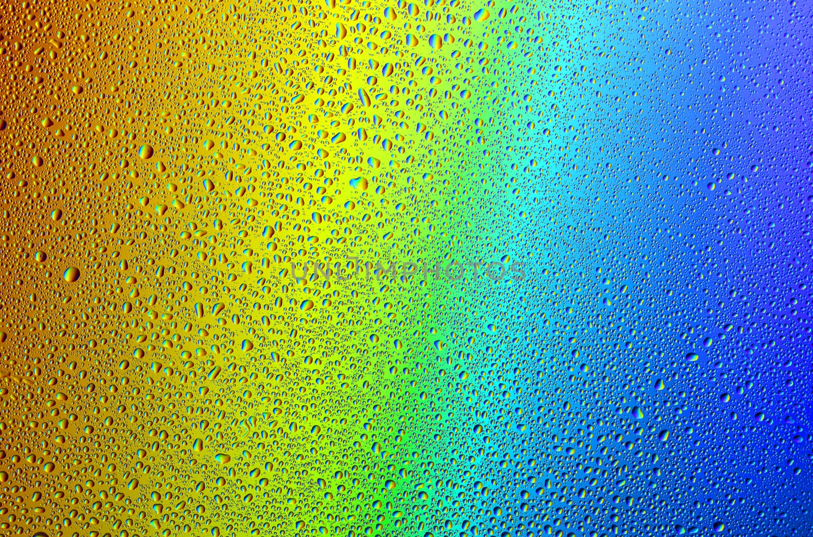 Drops of water against the background of the rainbow and with its reflection in them