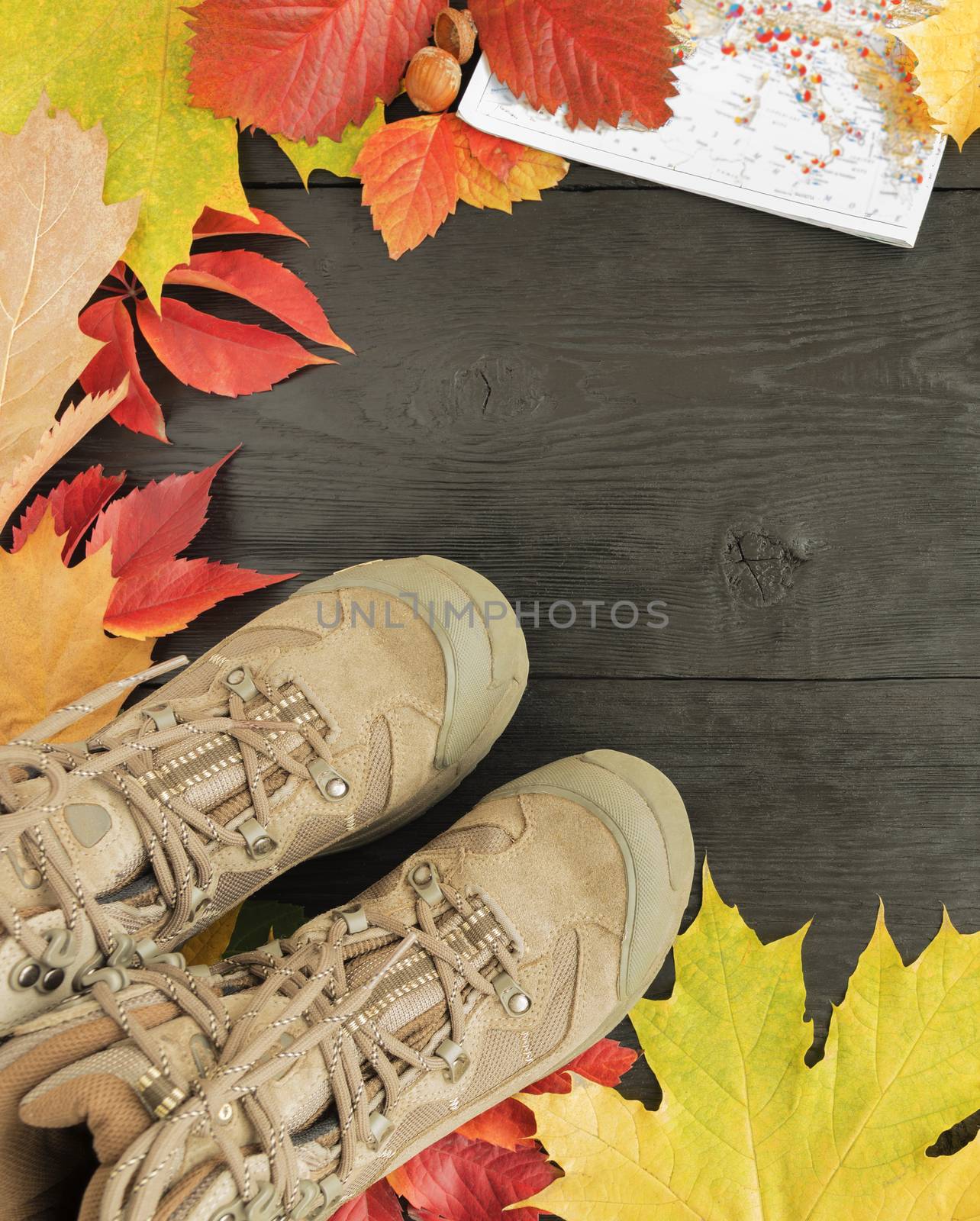 Bright autumn leaves, tracking boots and maps framed the black old wooden surface with a copy of space.