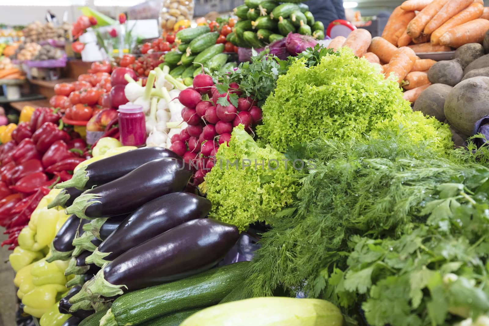 Juicy greens of lettuce, dill, parsley and eggplant, radish, beets, carrots and other vegetables for sale on the market