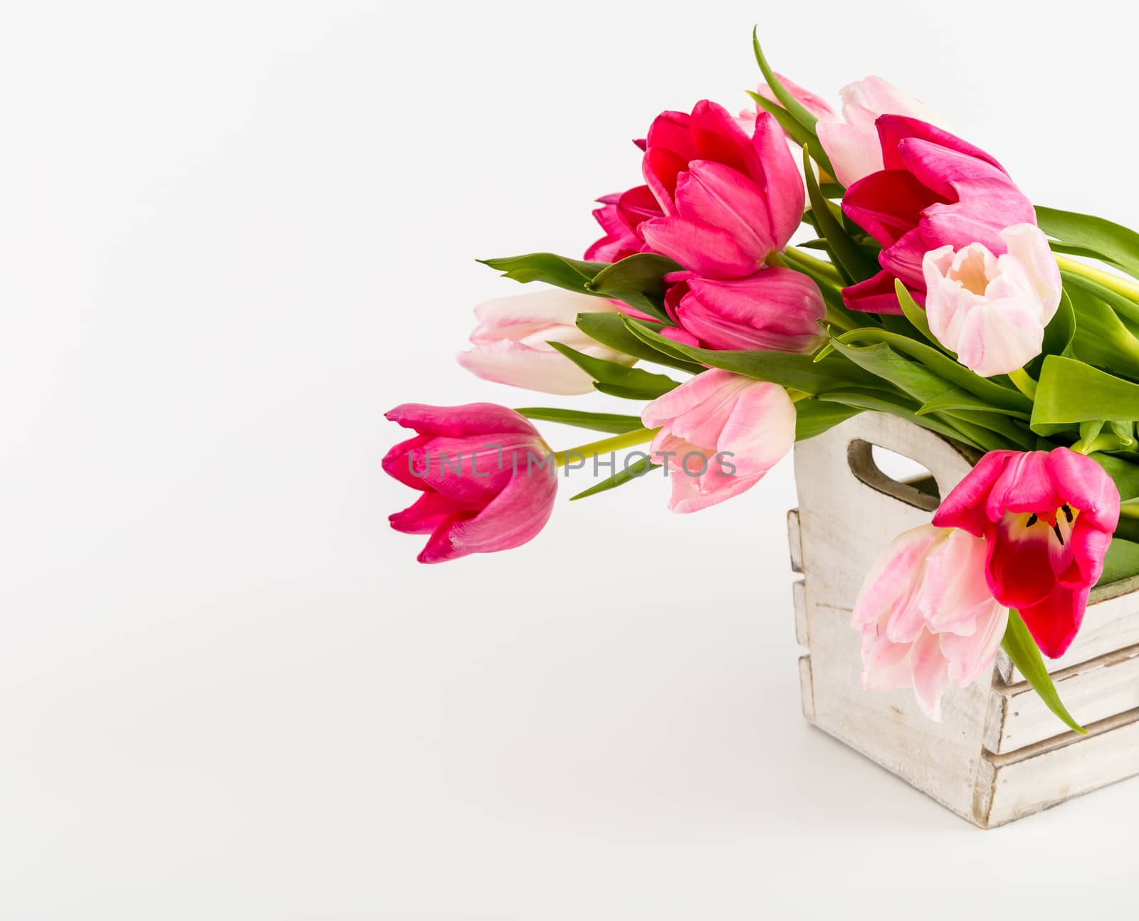 Spring Fresh multicolored tulips in box isolated on white background. Congratulation. Valentine's Day, spring, Easter. Space for text.