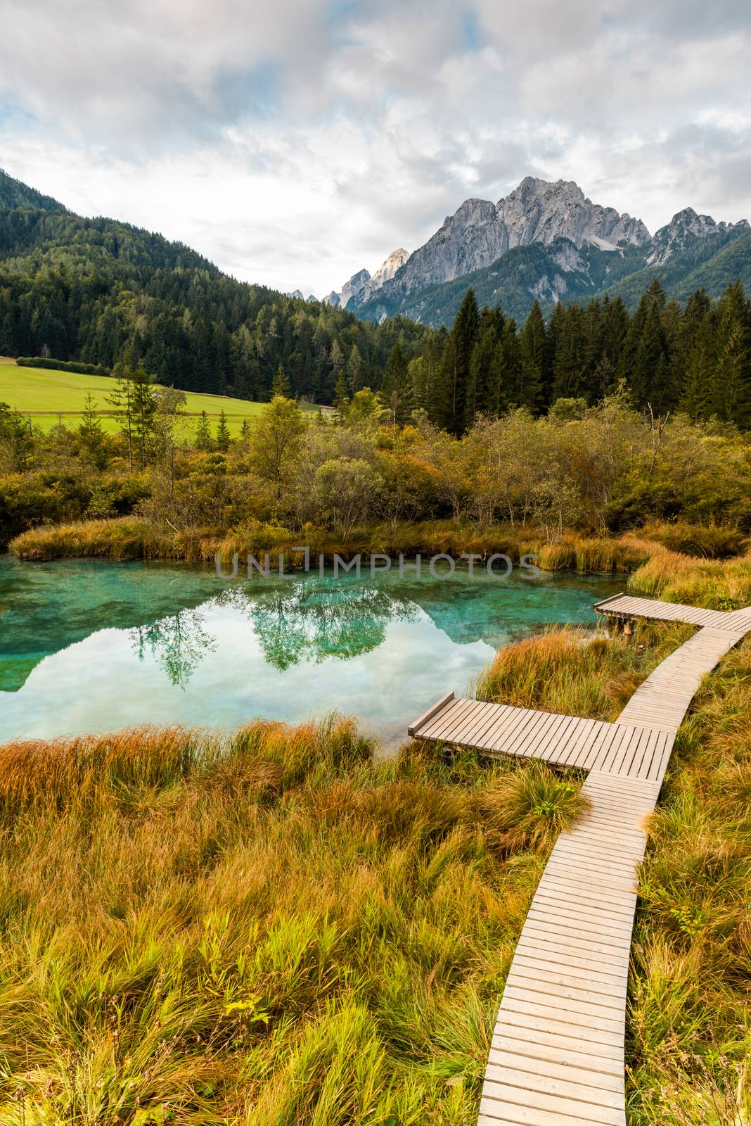 Emerald Lake at Zelenci in Slovenia. Alpine Landscape at Autumn Season.