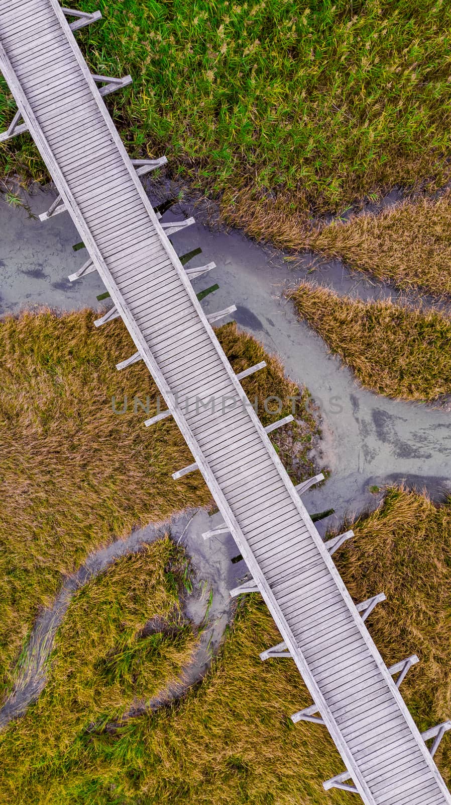 Top Down Abstract Landscape in Autumn Colors. Drone Photography.