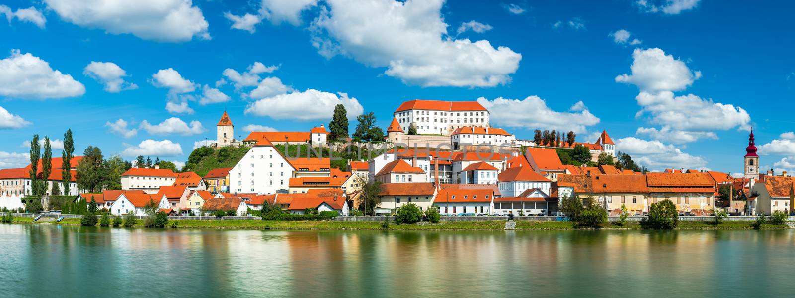 Ptuj Grad in Slovenia with Castle and Cathedral at River Drava. Wide Panoramic Image.