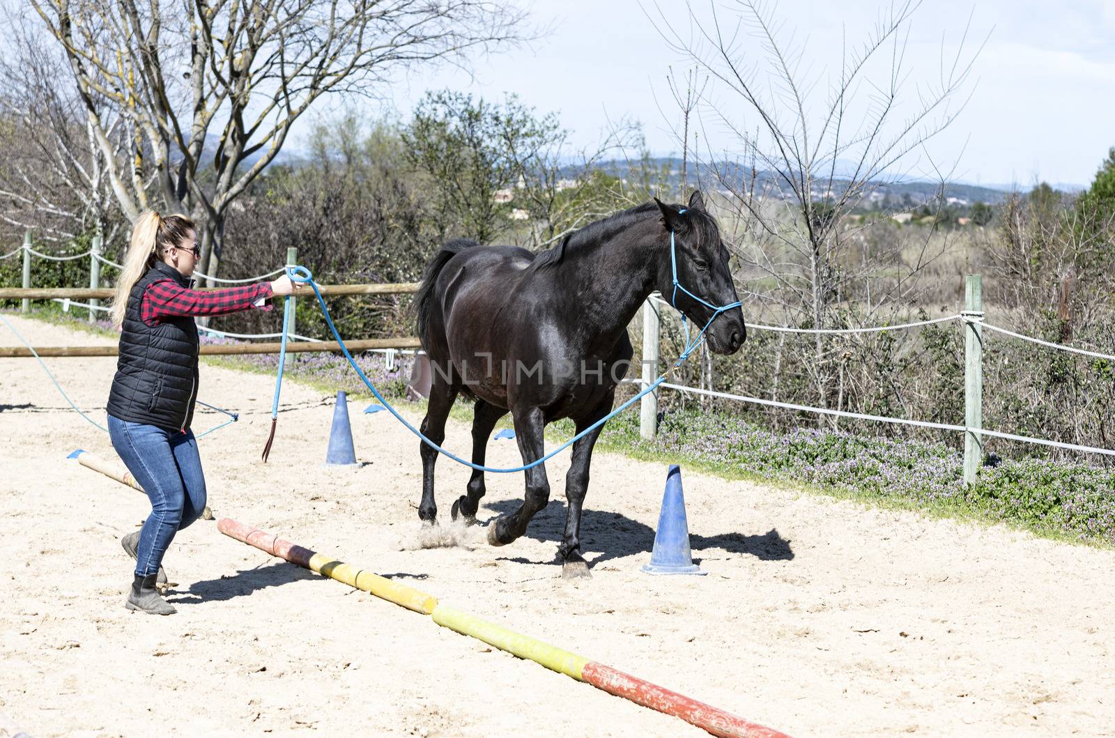  riding girl are training her black horse