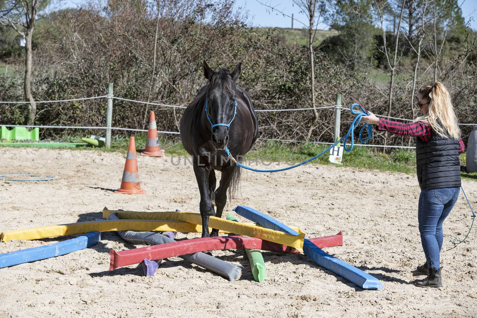  riding girl are training her black horse