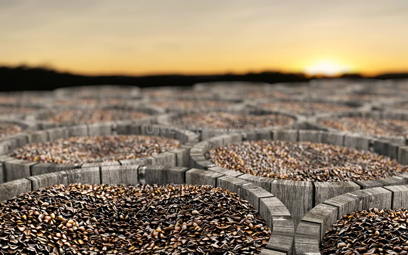 3d rendering of coffee beans in wooden barrel against blurred sunrise clear sky