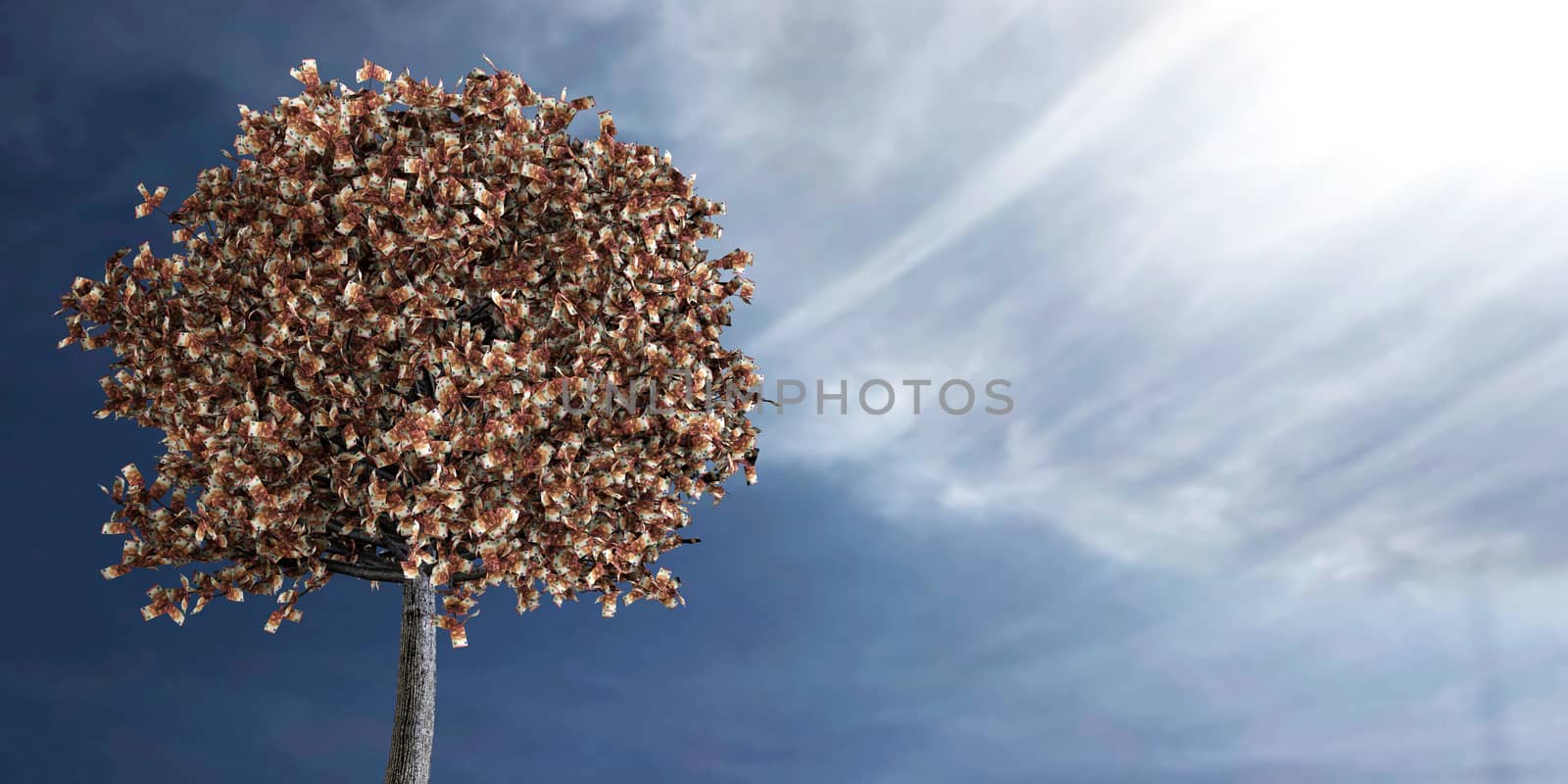 3d rendering of euros growing on a tree by F1b0nacci