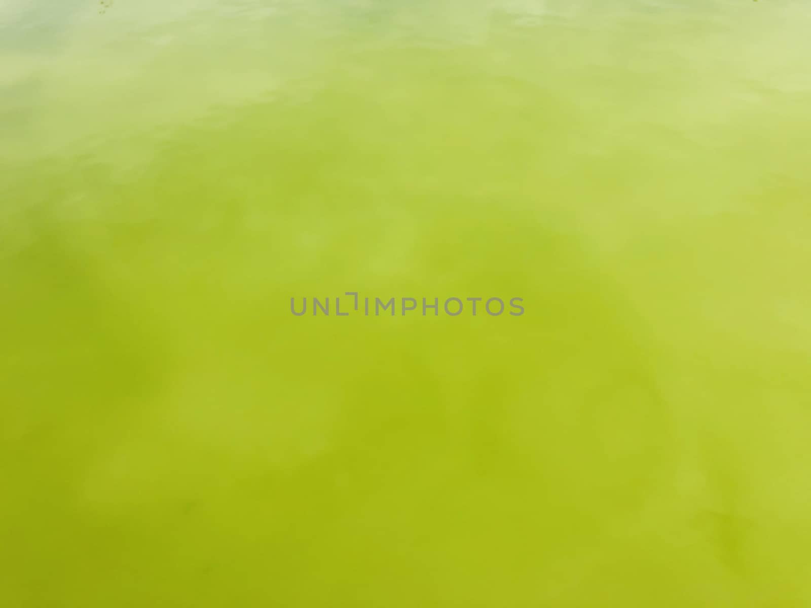 green still water texture background in brigt day light