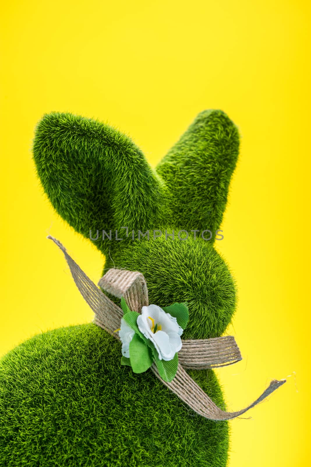 Easter Bunny Shape on Yellow Background.