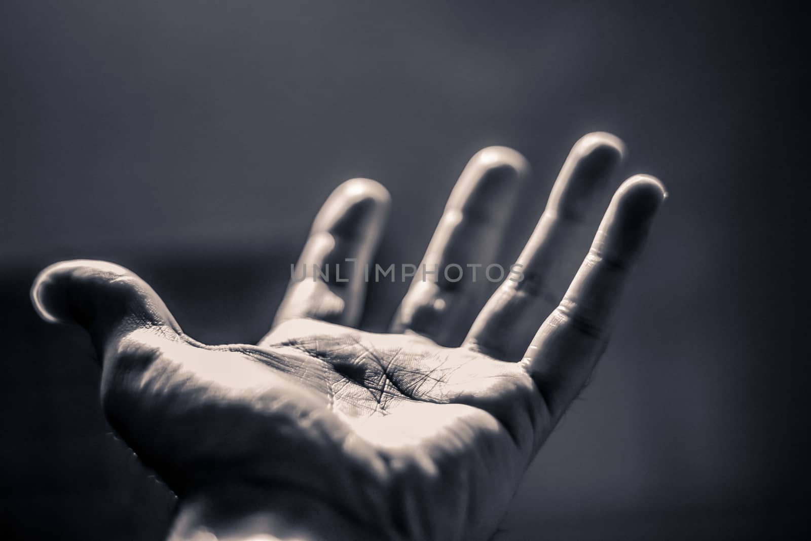 Photograph of an open human hand