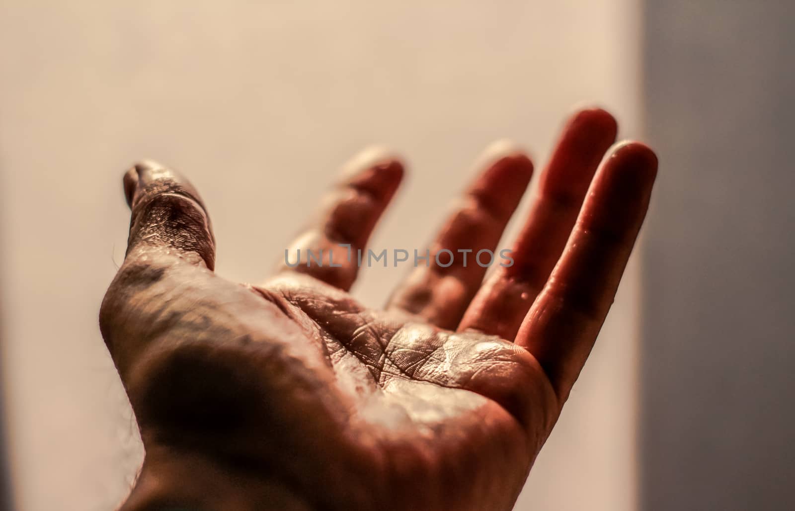 Photograph of an open human hand