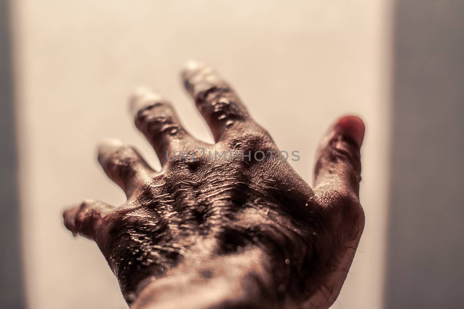 Photograph of an open wet human hand