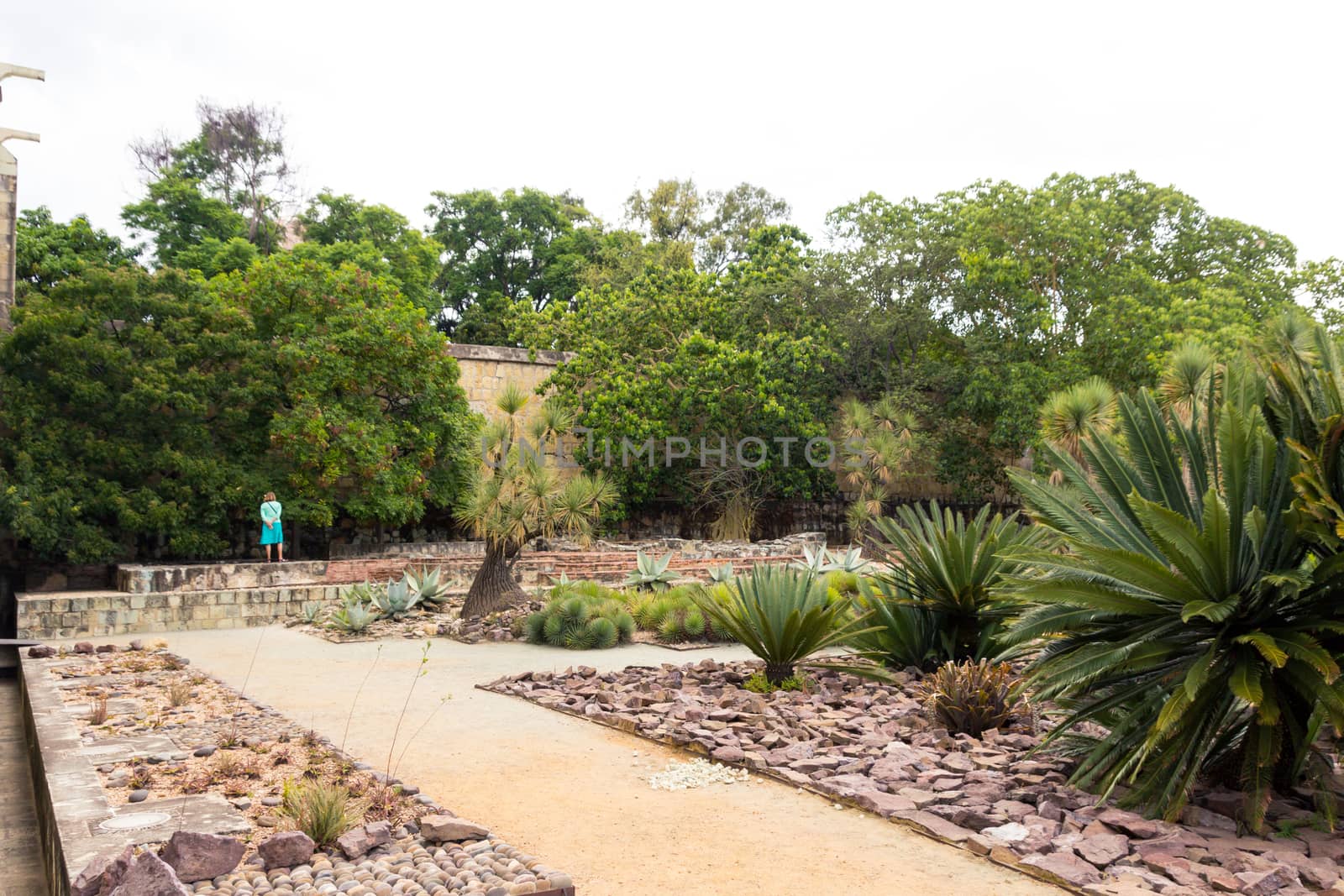 Oaxaca, Oaxaca / Mexico - 21/7/2018: Detail of the Ethnobotanic garden in Oaxaca Mexico