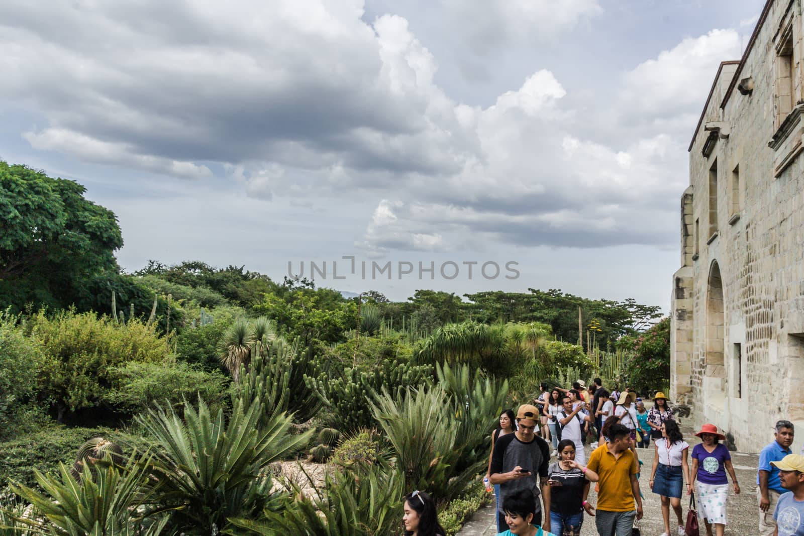 Oaxaca, Oaxaca / Mexico - 21/7/2018: Detail of the Ethnobotanic garden in Oaxaca Mexico