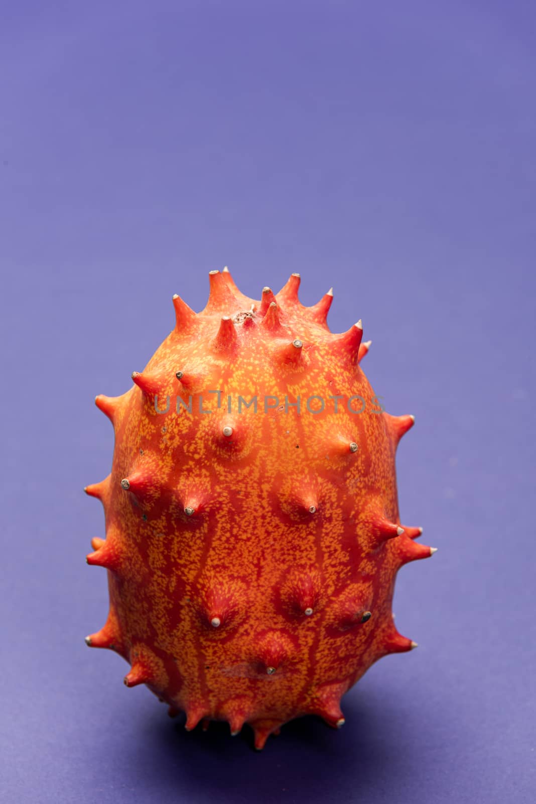 Whole Kiwano or horned Melon Exotic Fruit on Pastel Background by merc67