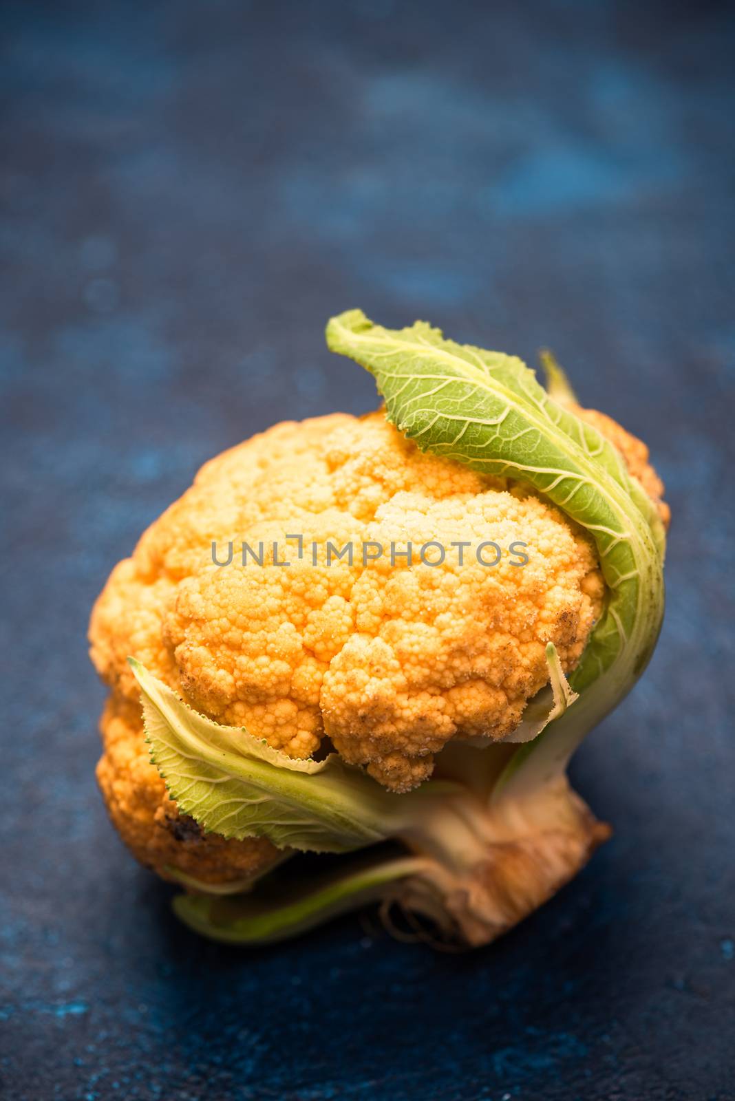 Yellow Cauliflower Cabbage on Vibrant Background.