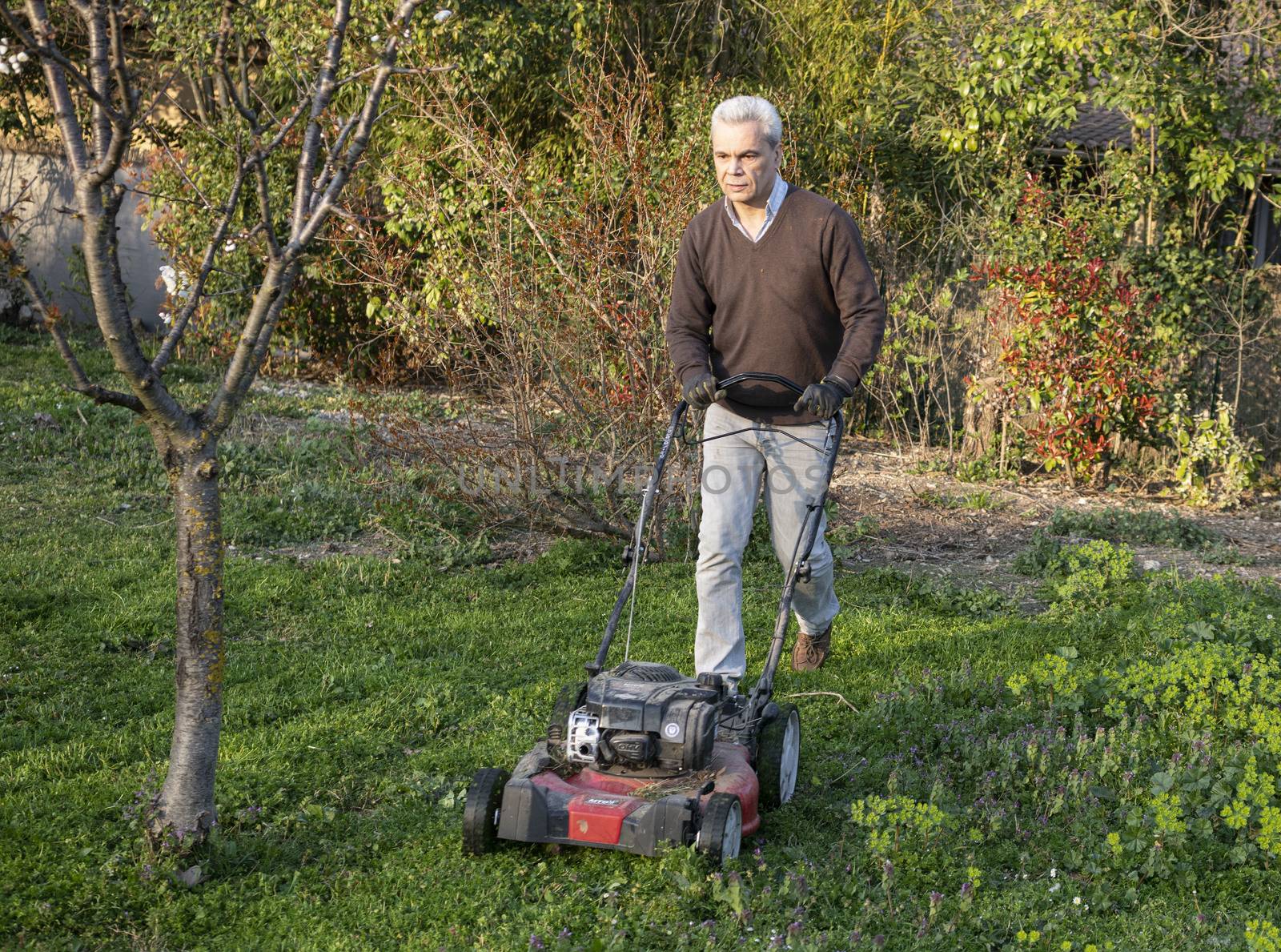 Man with lawnmower in his garden in spring