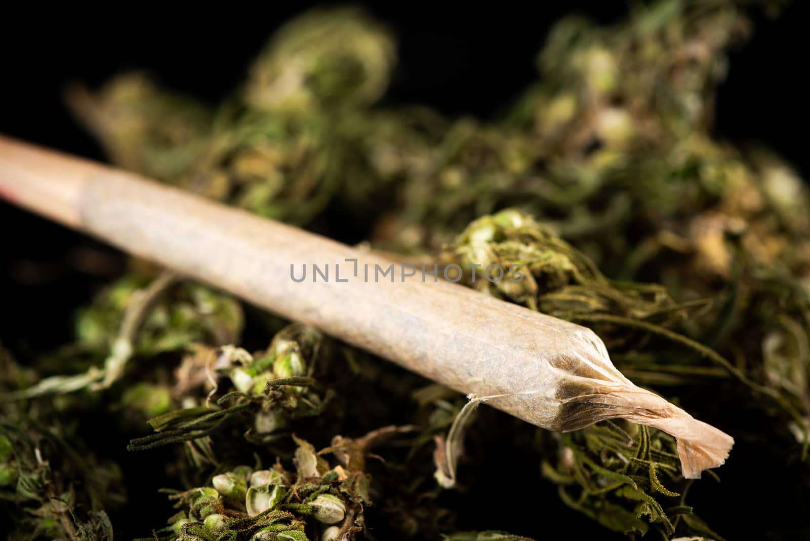 Rolled Medical Marijuana Joints. Medical Legal Cannabis with CBD.