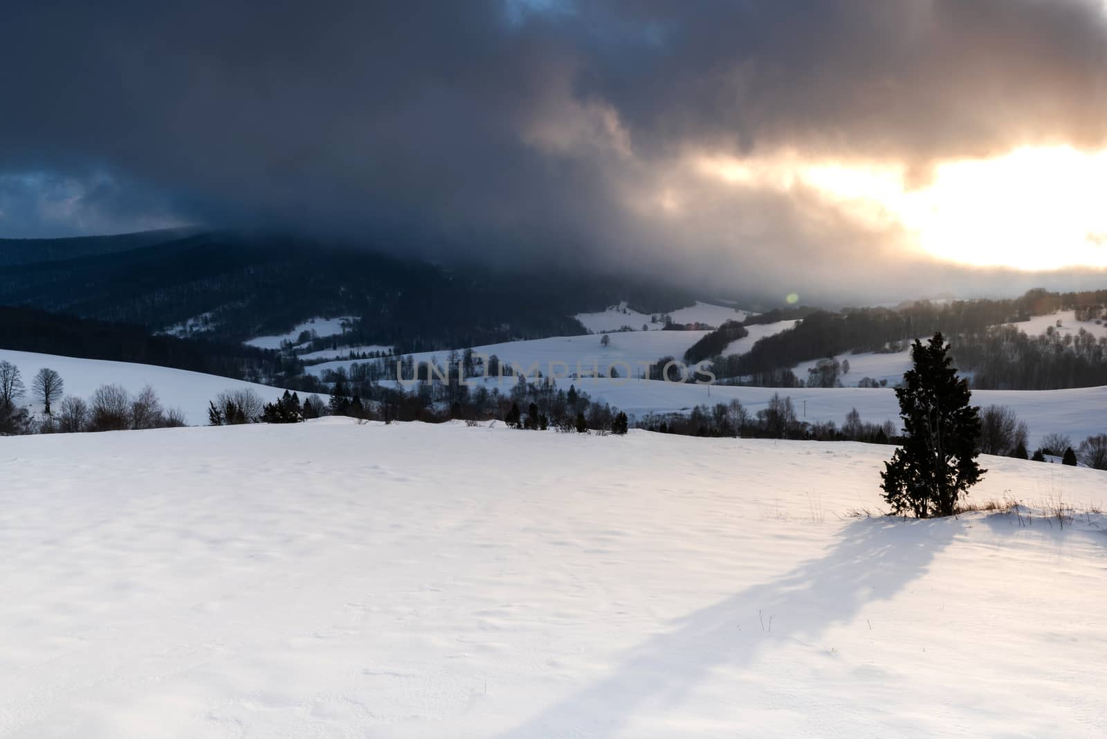 Snowy Meadow at Sunrise. Dramatic Stromy Clouds over Polonina in by merc67