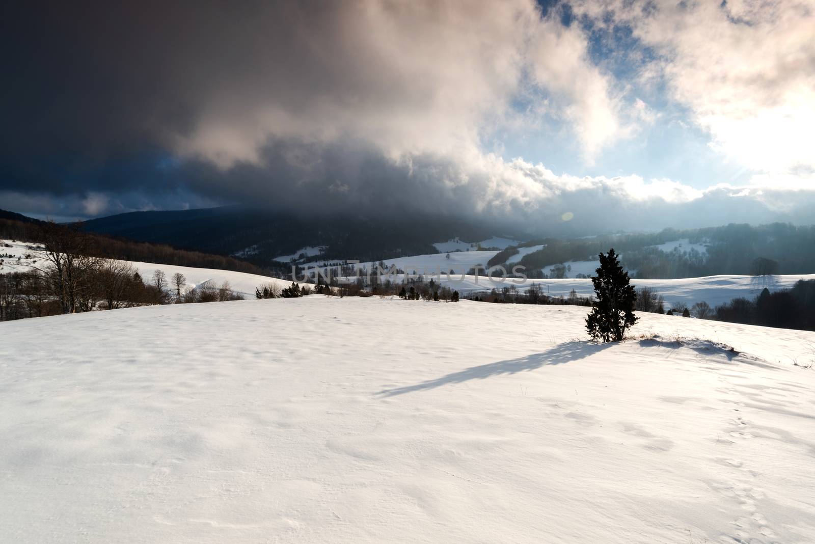 Winter Sunrise over Snow Covered Polonina in Bieszczady Mountains in Poland.