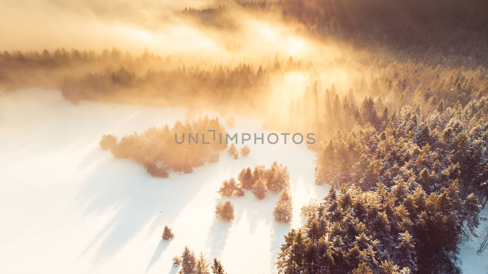 Fog over Pine Trees Covered in Snow at Cold Sunrise in Winter. A by merc67