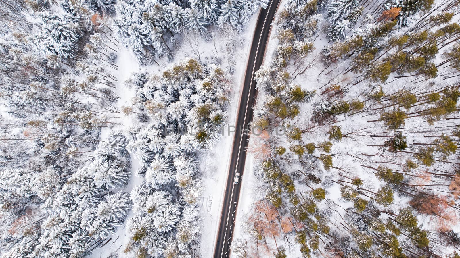 Car Drive Trough Snowy Forest in Winter Wonderland, Top Down Aerial View.
