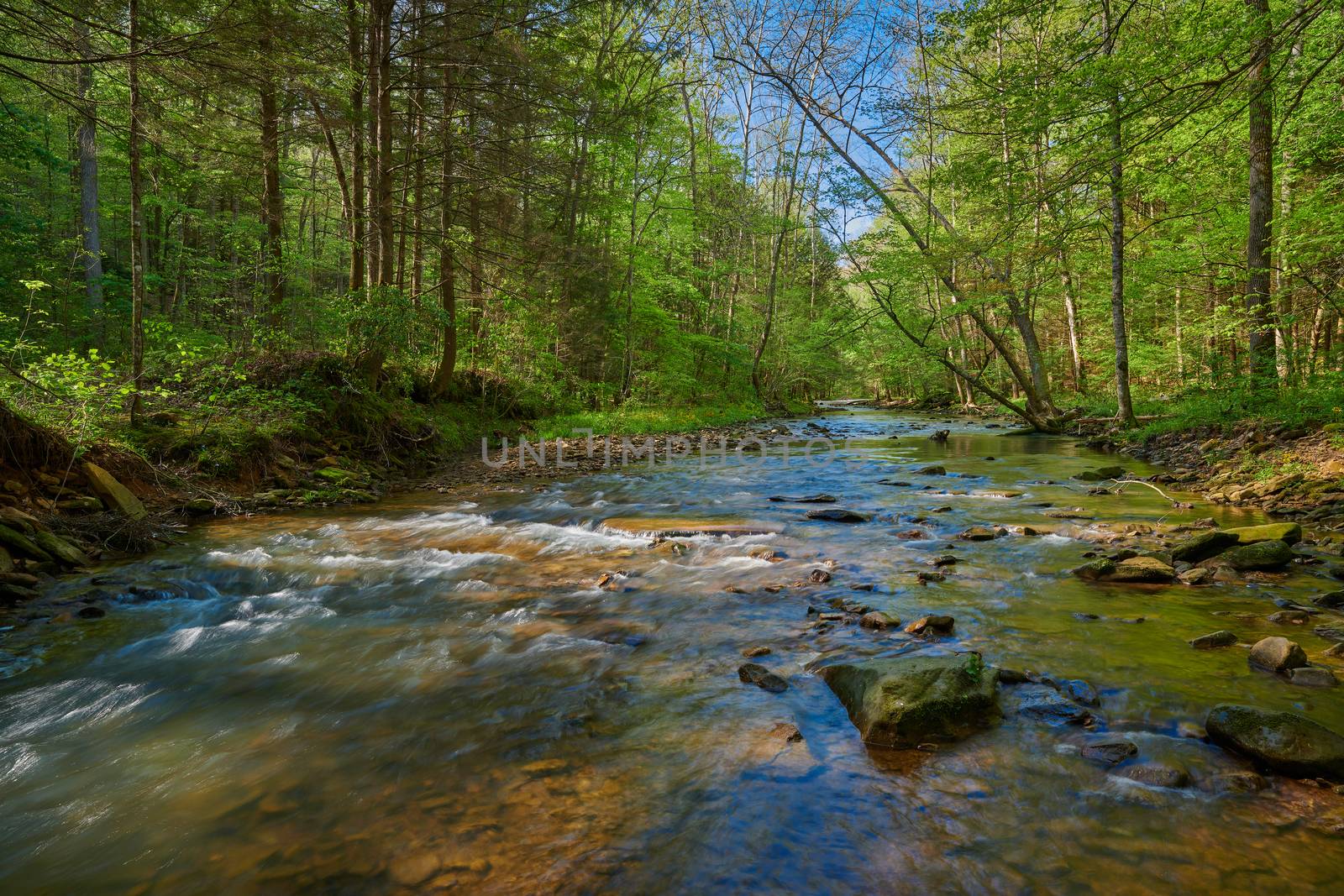 Flowing War Creek in Eastern Kentucky. by patrickstock