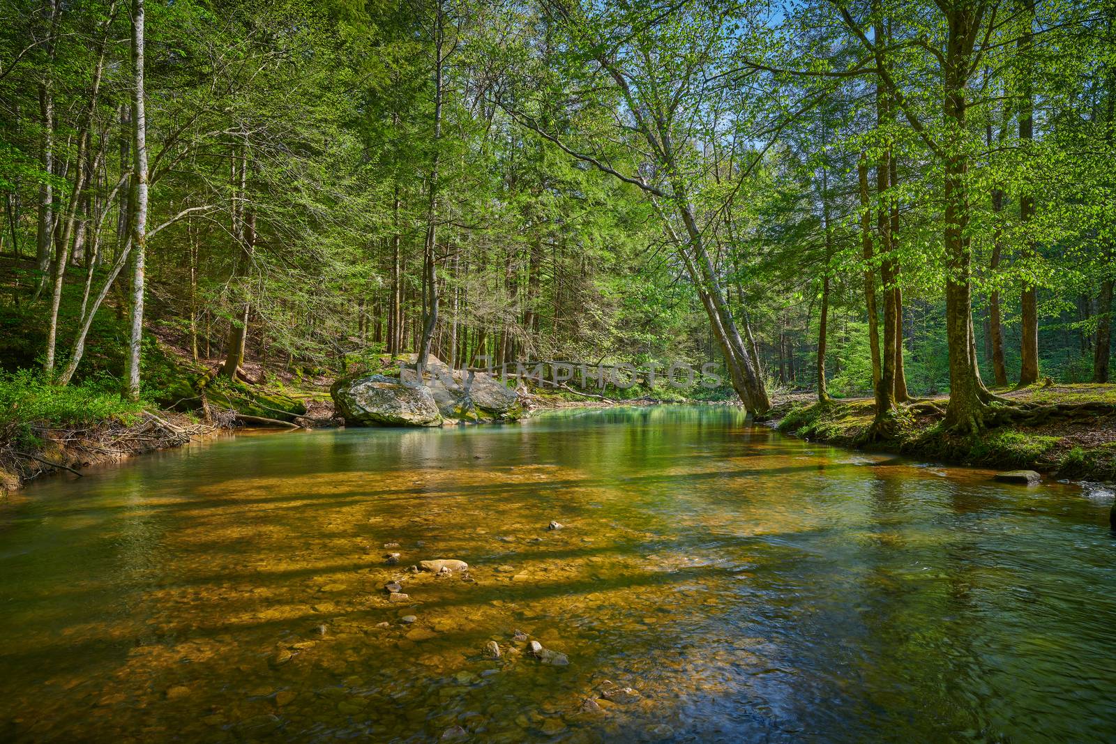 Flowing stream with trees and large boulder in Eastern Kentucky.