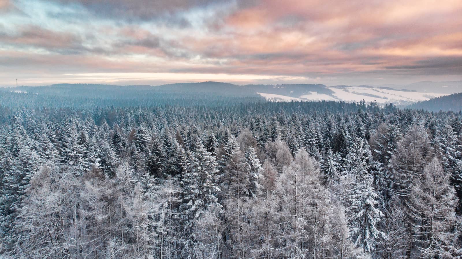 Sunrise Over Snowy Pine Trees. Beautiful Sky and Clouds. Aerial Drone View. Winter Season.