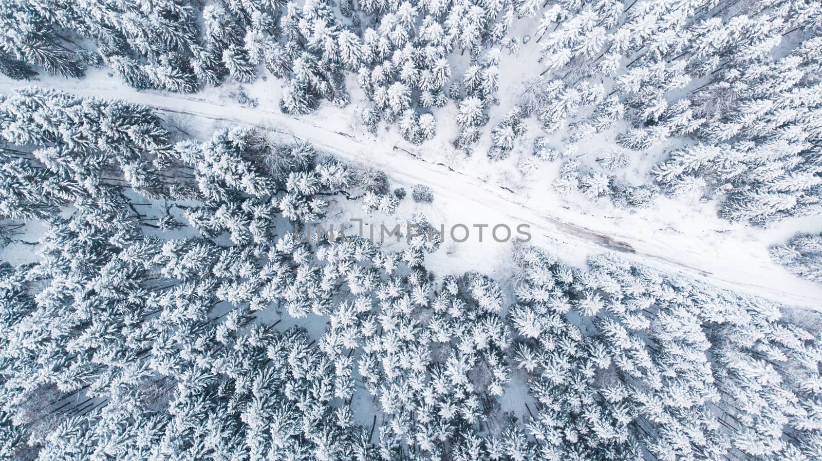 Country Lane Road in Winter Snowy Forest, Top Down Aerial View.