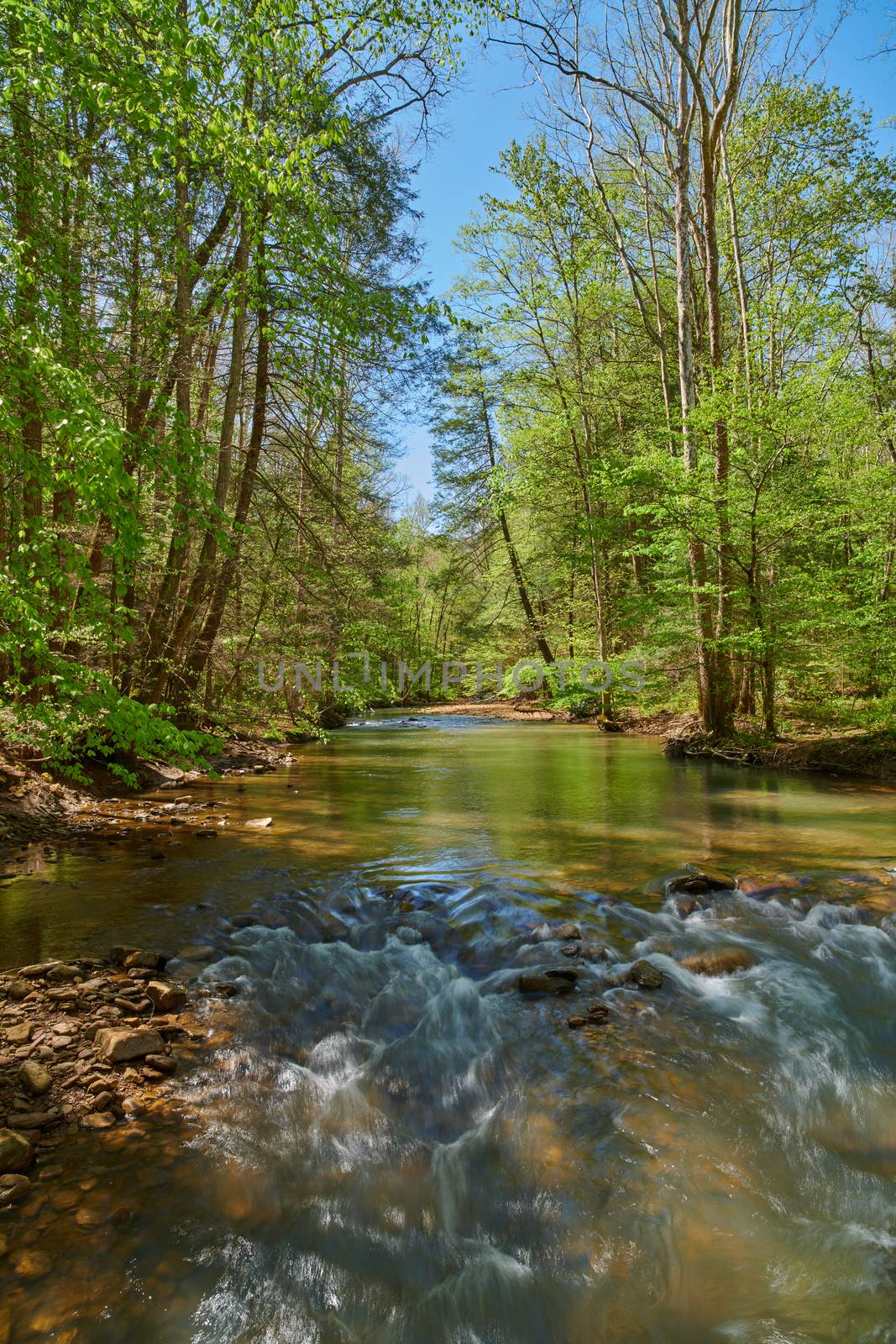 Small Rapids on War Creek in Eastern Kentucky.